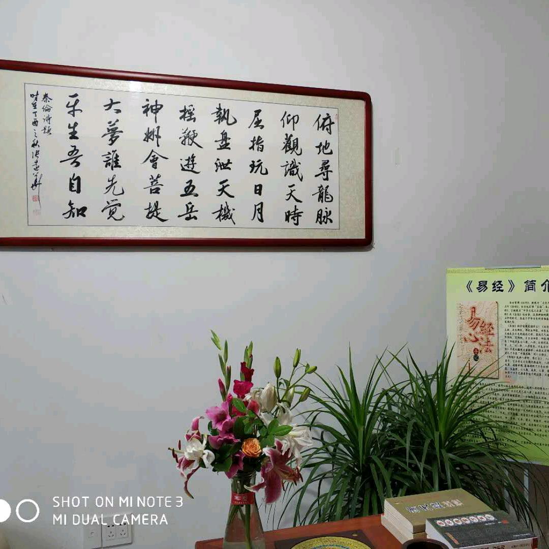 禹舜易学