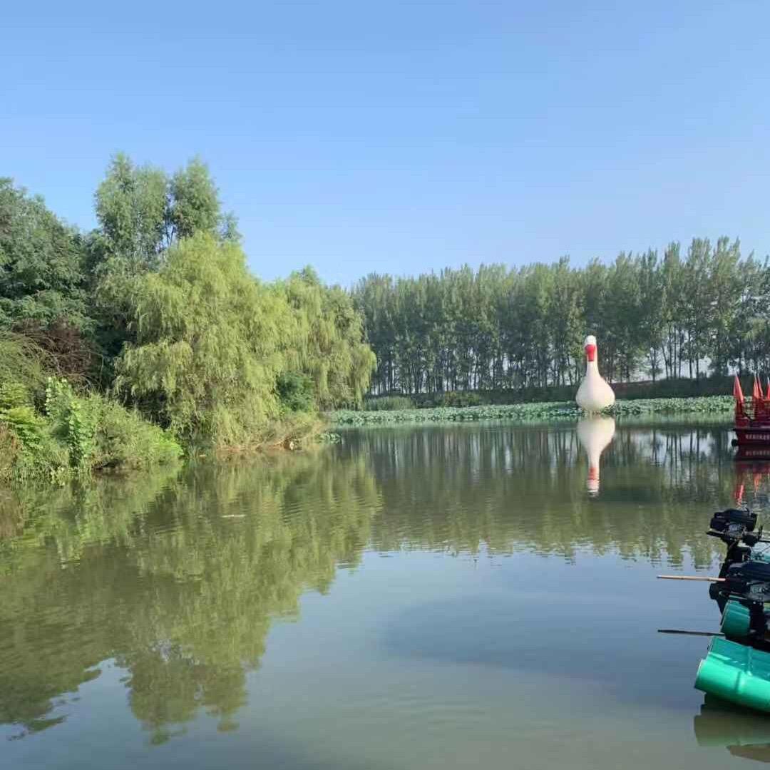 尚姐