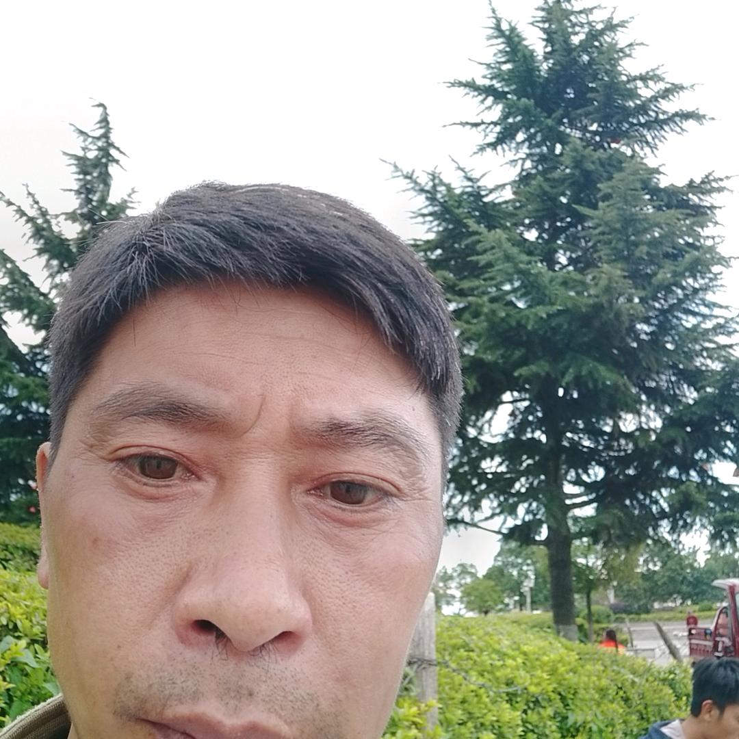 杨三哥