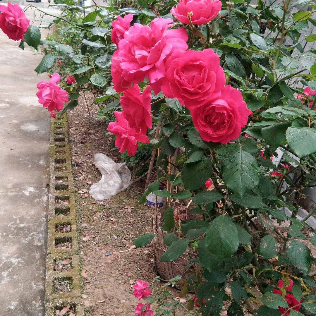 (宝哥)精益求精