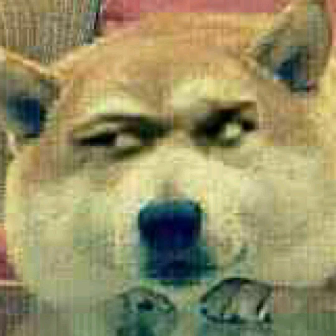 懒