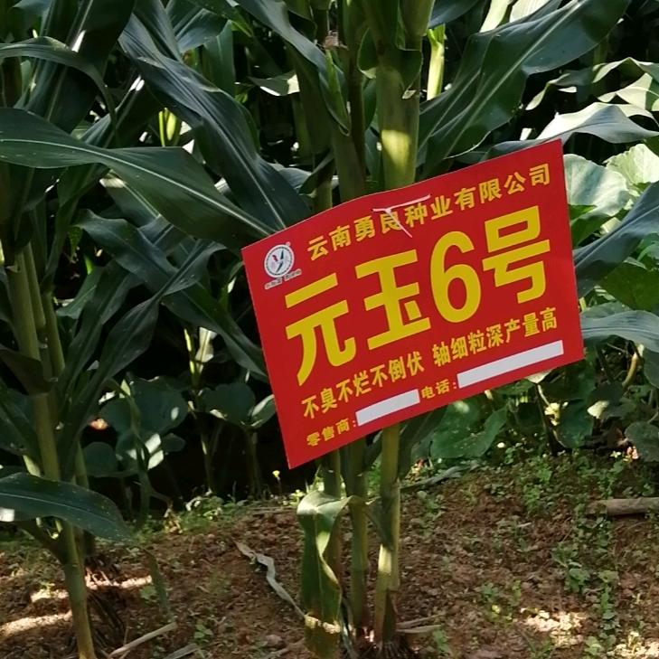 用户8147450794076