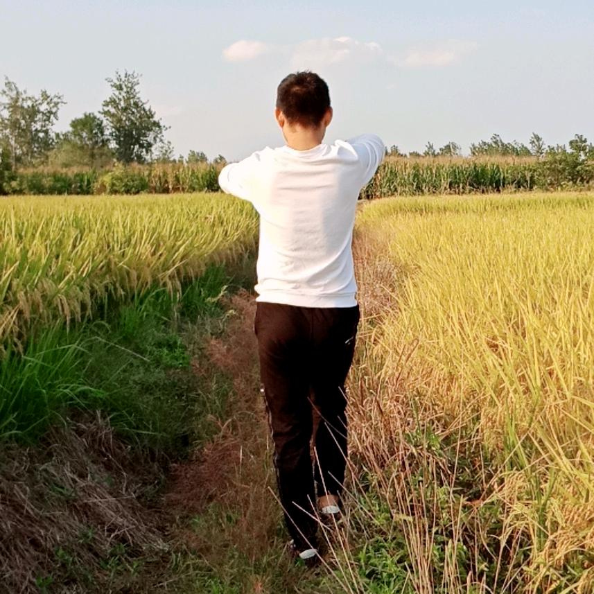 一盏茶，一辈子