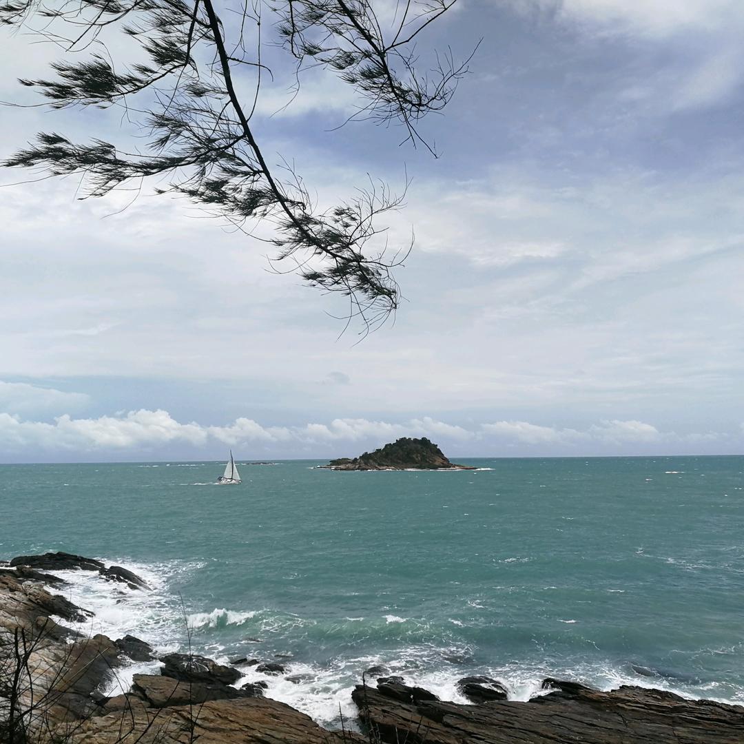 一笑🐻 🐻而过