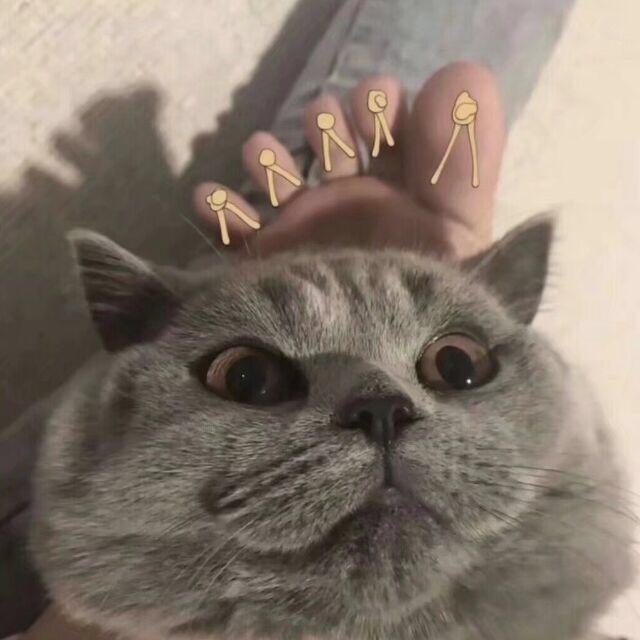 五碗白米饭