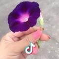 晴空彩霞—辣妈队！