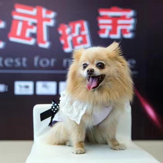 酷爱婚礼&生日派对策划