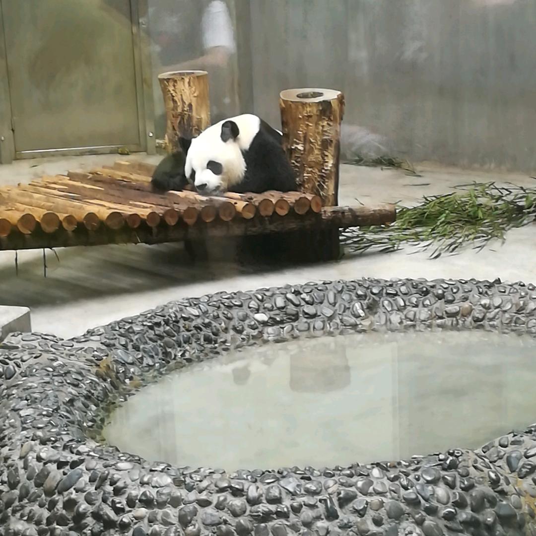 赶着蜗牛去赶集