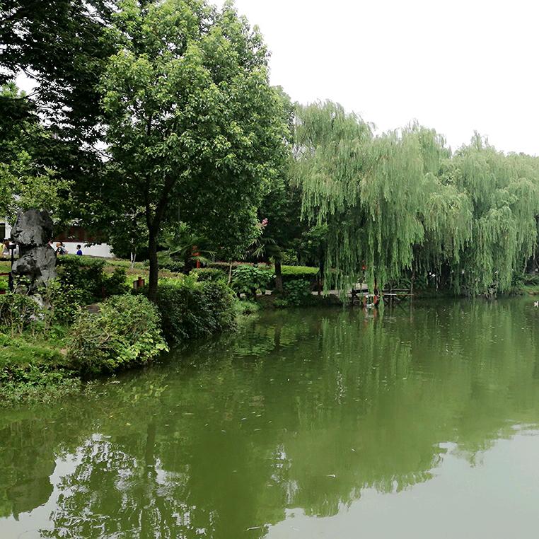黎明520