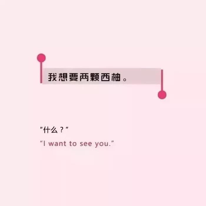 小蒋是我🐑💃