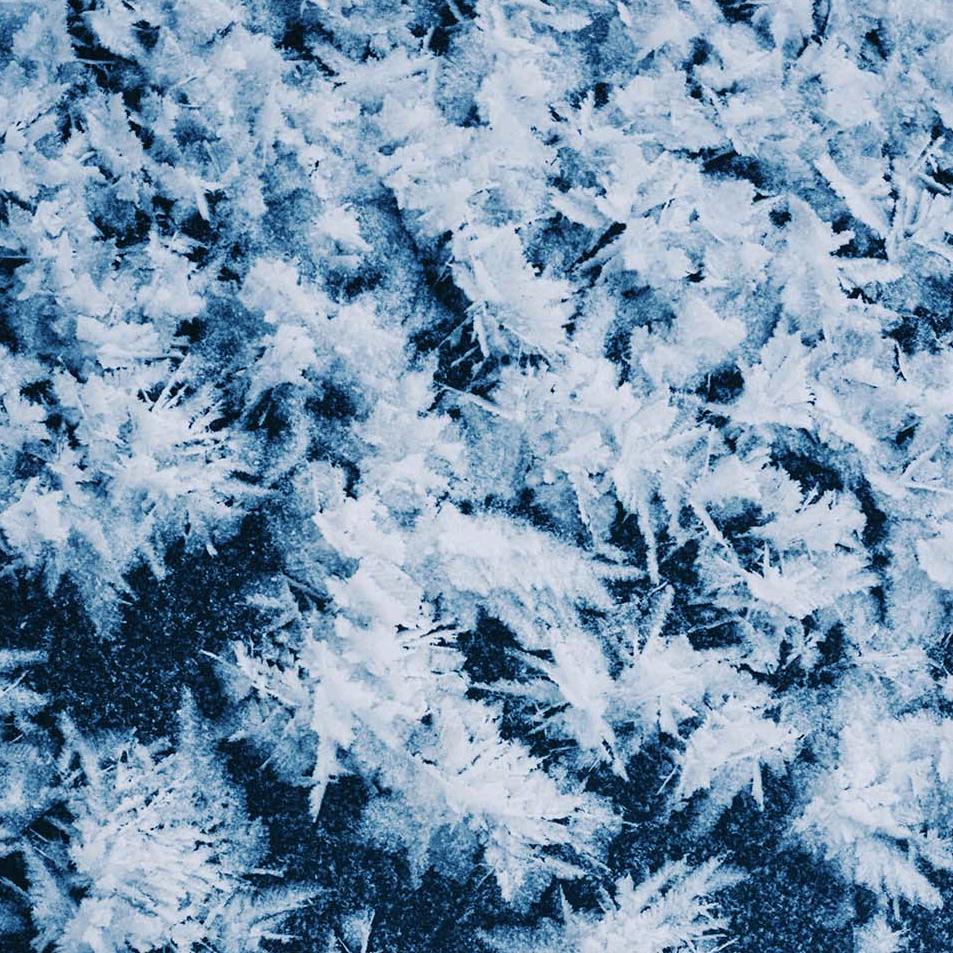 可以带我吃鸡吗