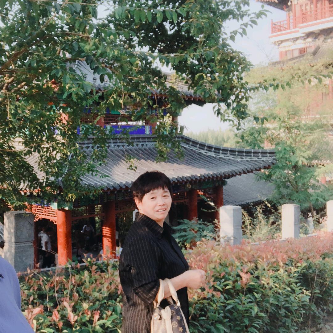 董事长大姨
