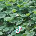 小幸福