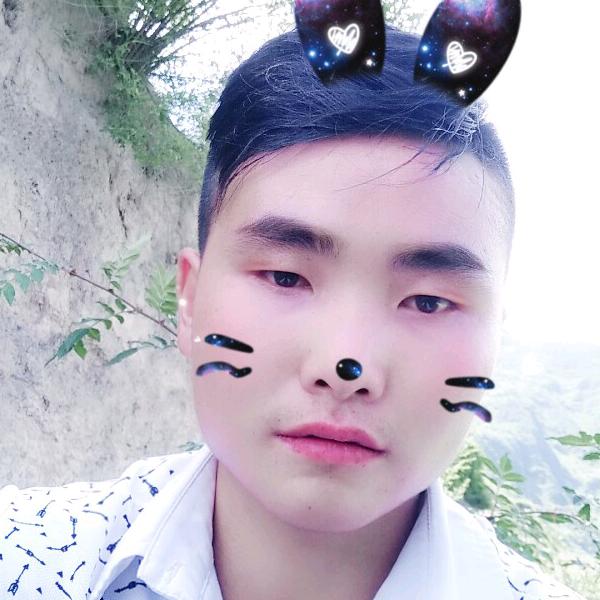 龙威盖世