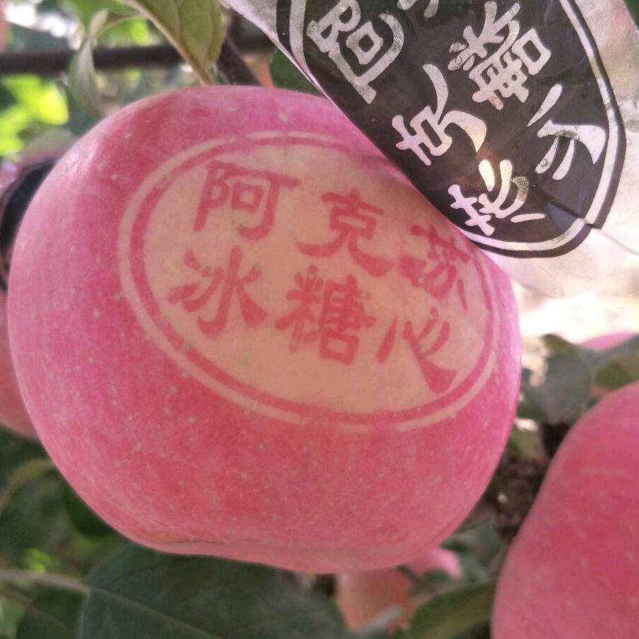 70后冰糖心苹果🍎