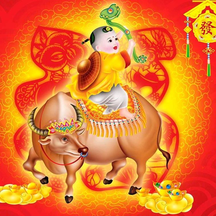 阳光创客