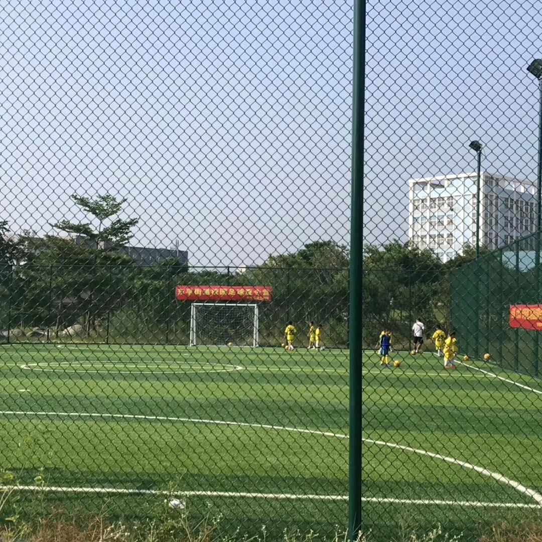 赖仁娣