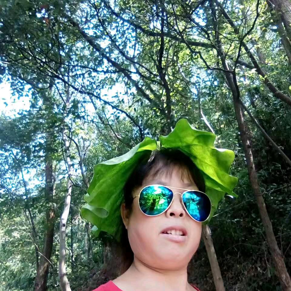 芯芯恋