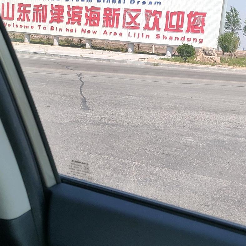 美