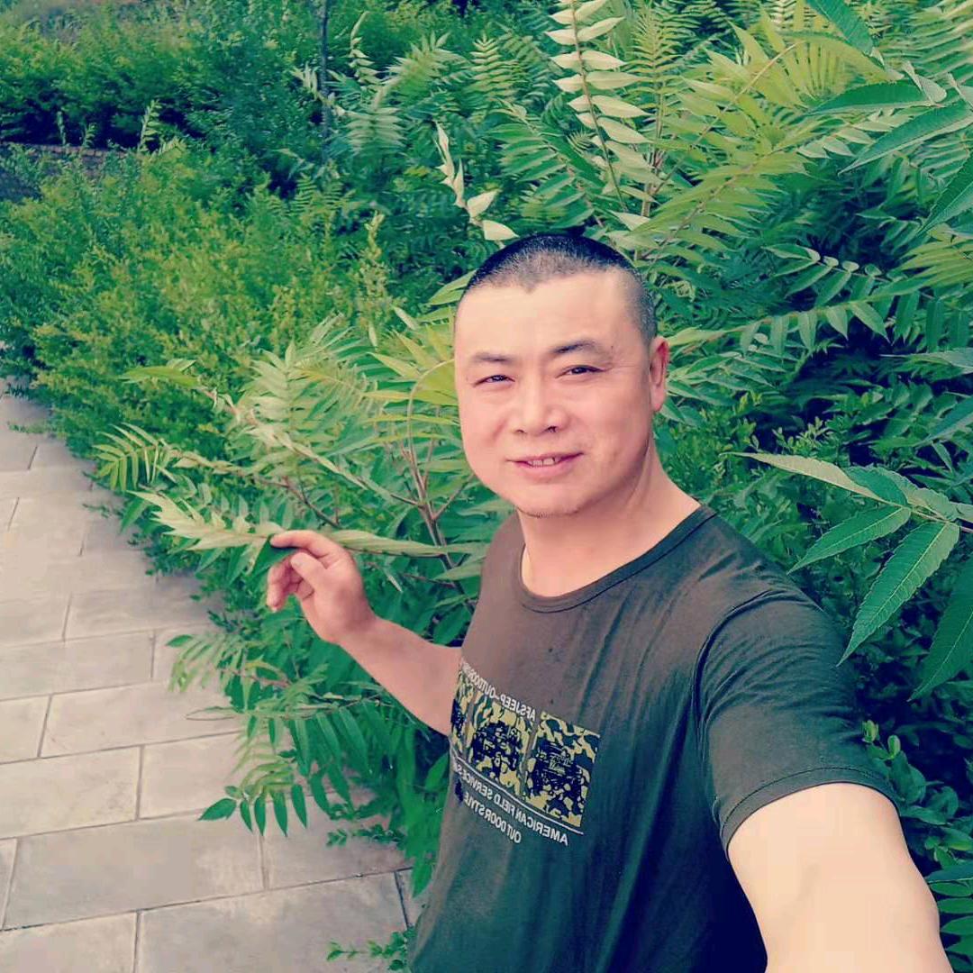 从头在来
