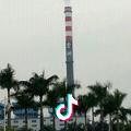 悦瑒