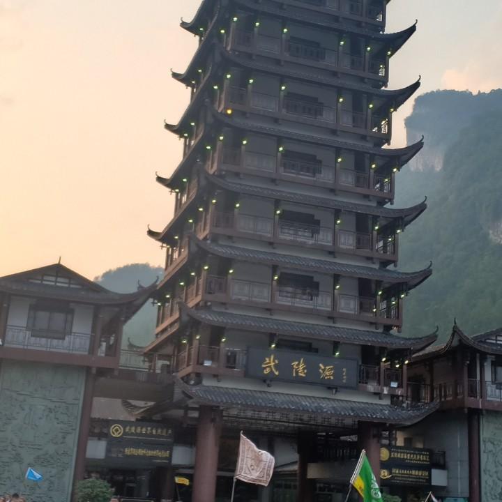 逗逼