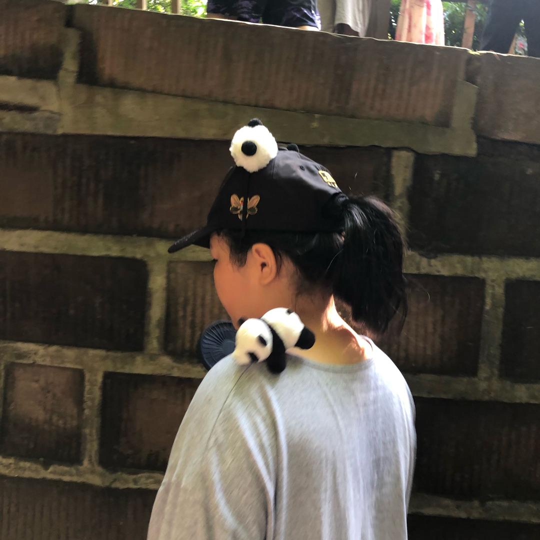 胖鱼