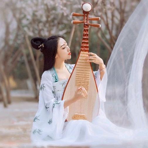 琵琶精💋蓝心盈人