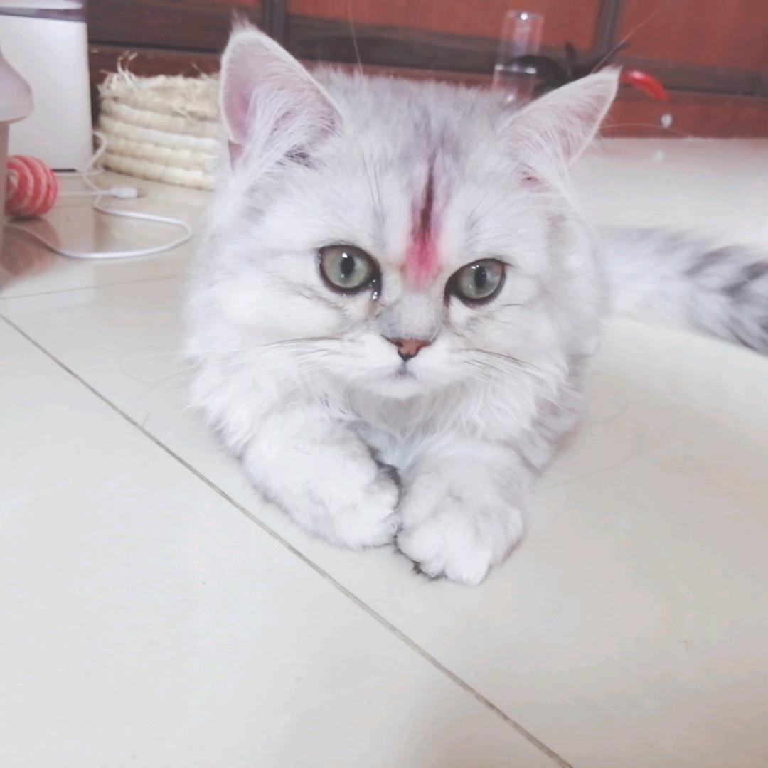 不要凝望深渊