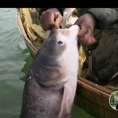 滑师傅户外