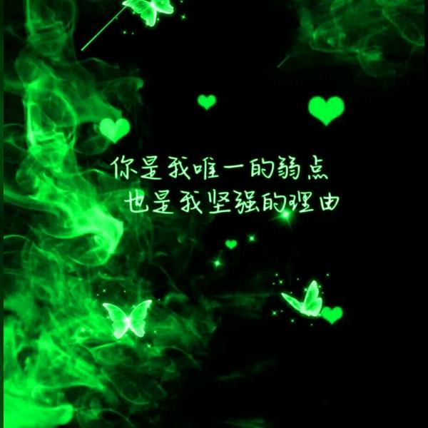 骑着蜗牛走三亚