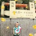 淡忘了的@情