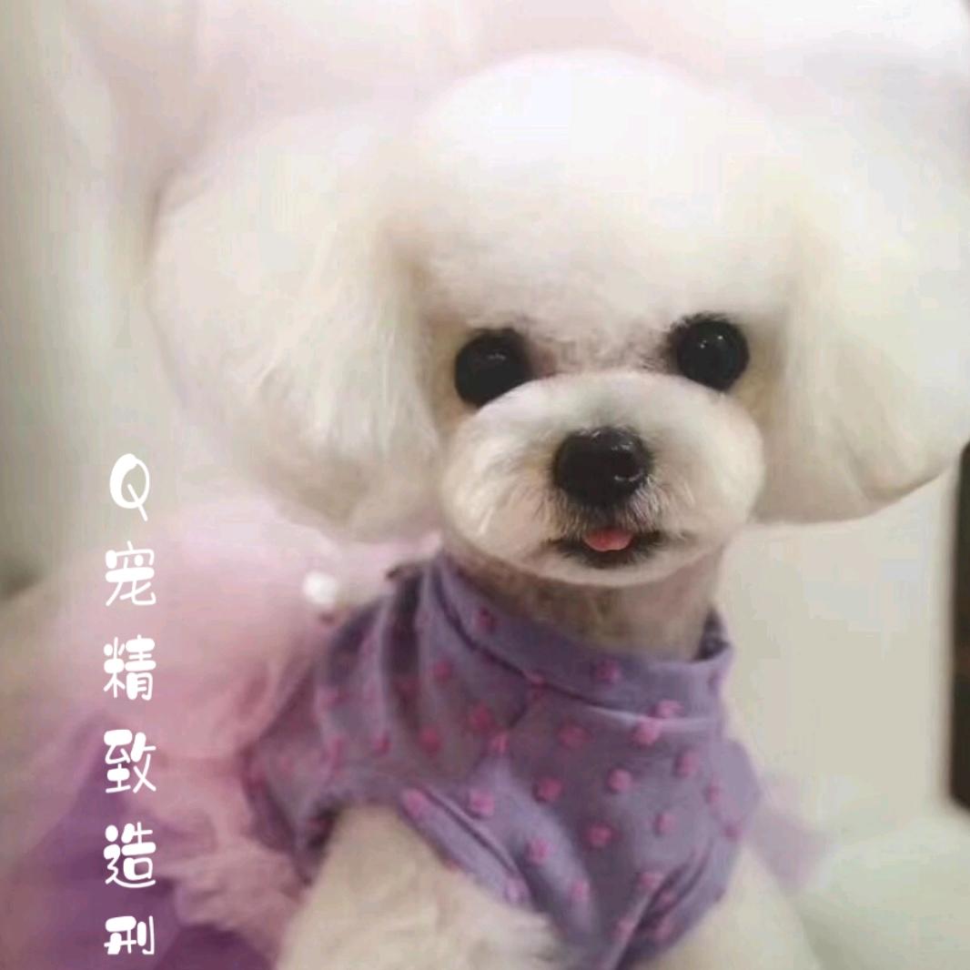 晋中市榆次区Q宠宠物～