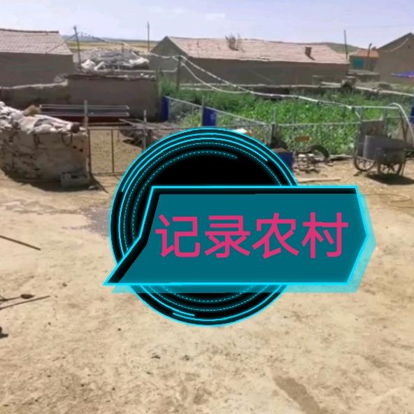 农村人（康保县）