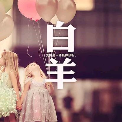 一片森林@一棵树