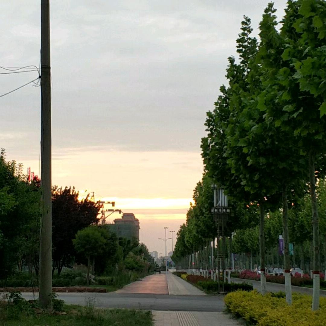 三六九驾校靳教练