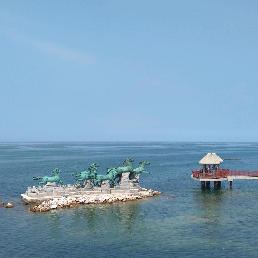 浦东机场太大差点累死我了