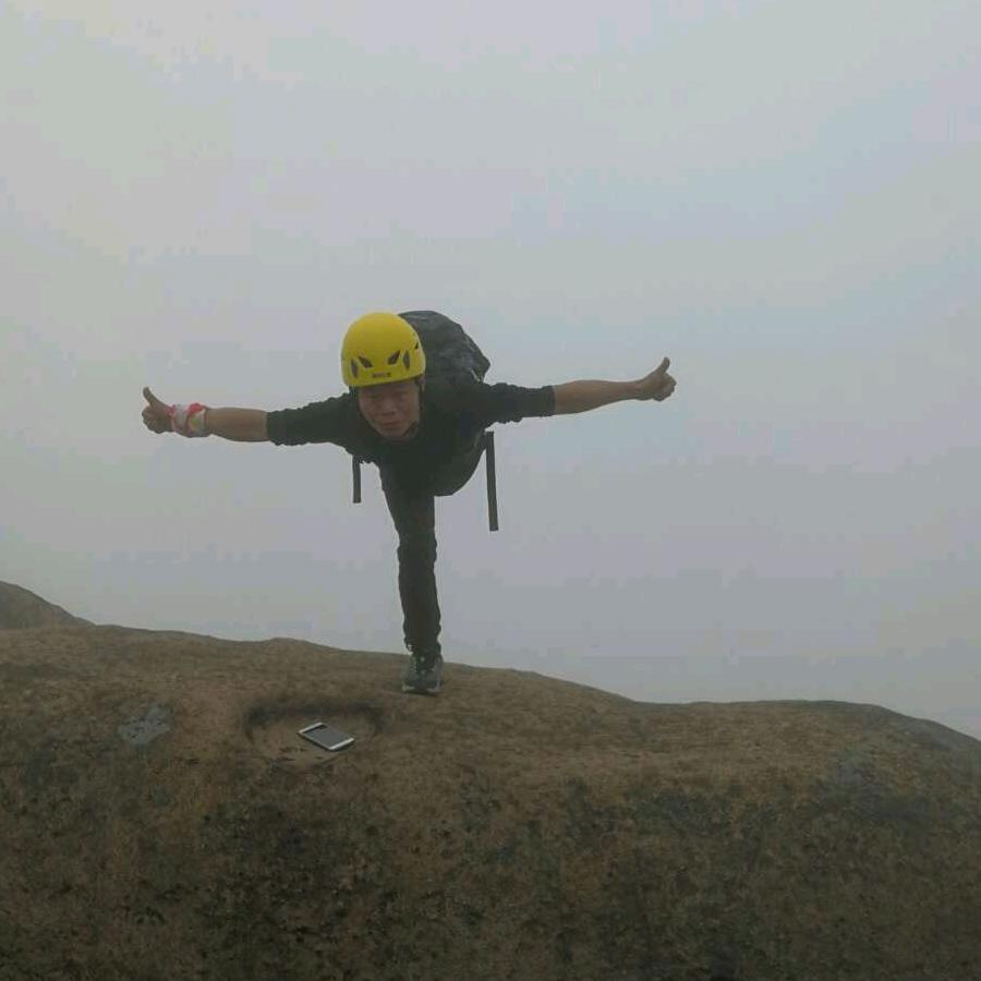 会飞的鱼(海平)