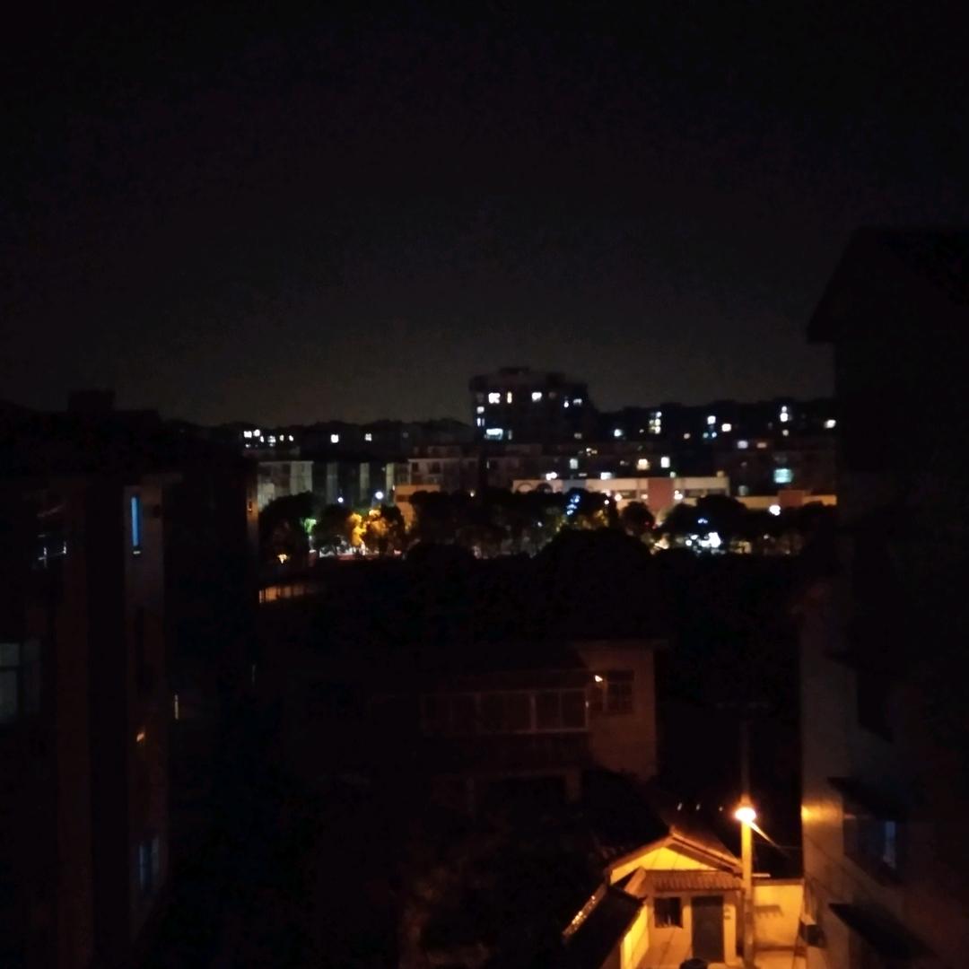 林月