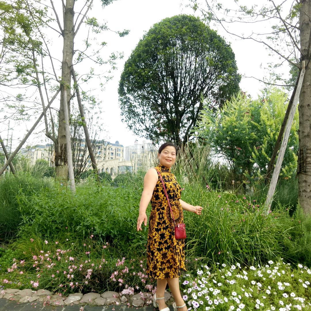 百惠