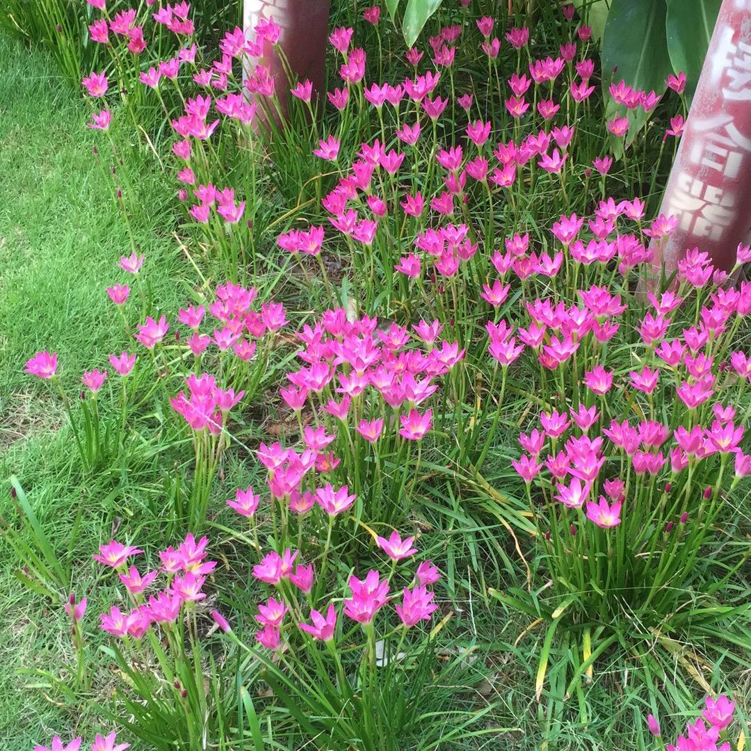 小米服饰分享