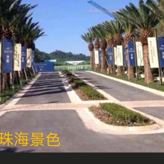 🌴东北二哥🌴