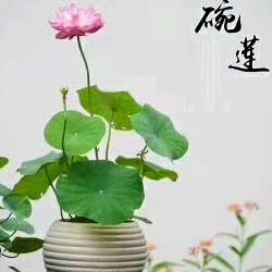 ❤️越来越好