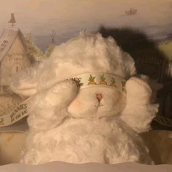 爱吃芒果干的雪凝儿