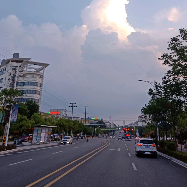 土豆