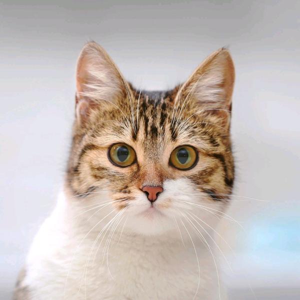 谁～欠我一个未来