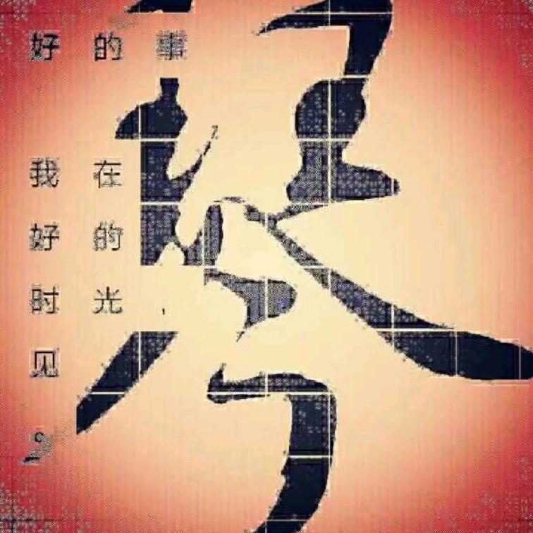 琴