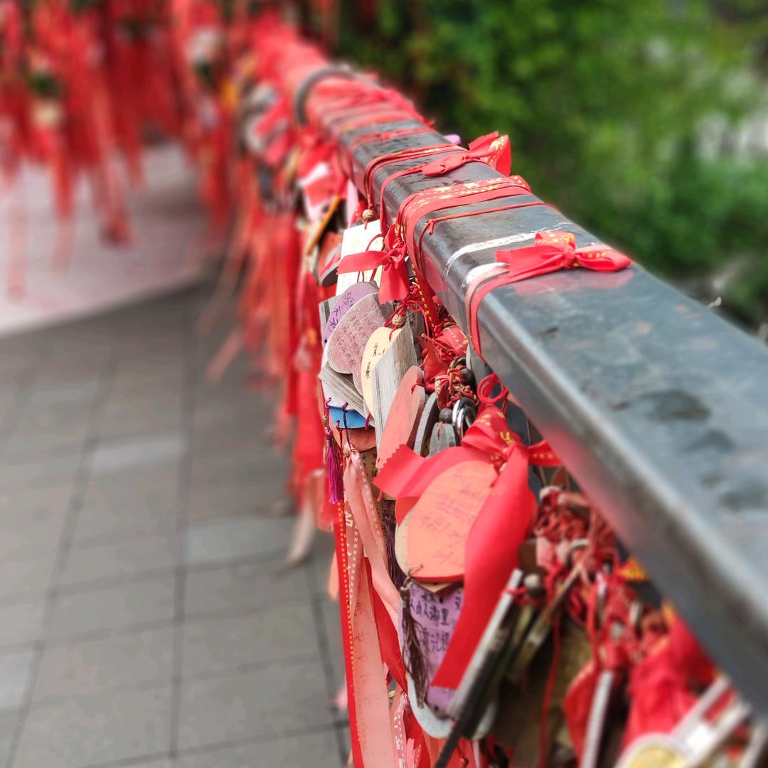 log压题哦咯
