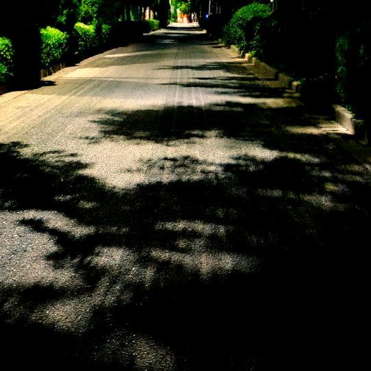 小王 小王 从不迷茫