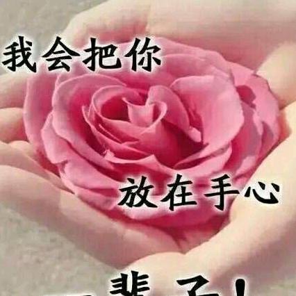 清澈的小溪